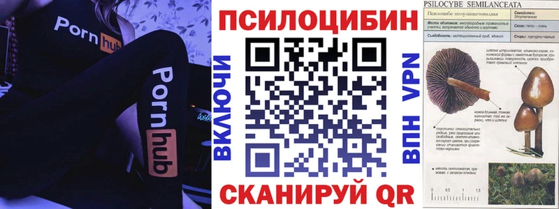 Галлюциногенные грибы GOLDEN TEACHER  Черногорск 